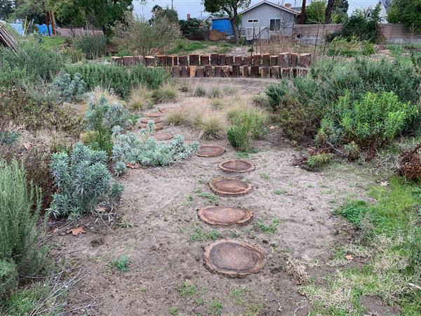 Eco Urban Garden